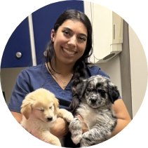 Partner Dogs Canada veterinary staff member smiling while holding two puppies during a health check and socialization session.